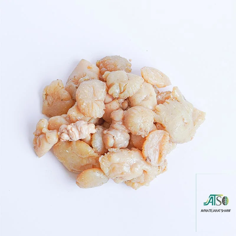 Asafoetida - Image 2
