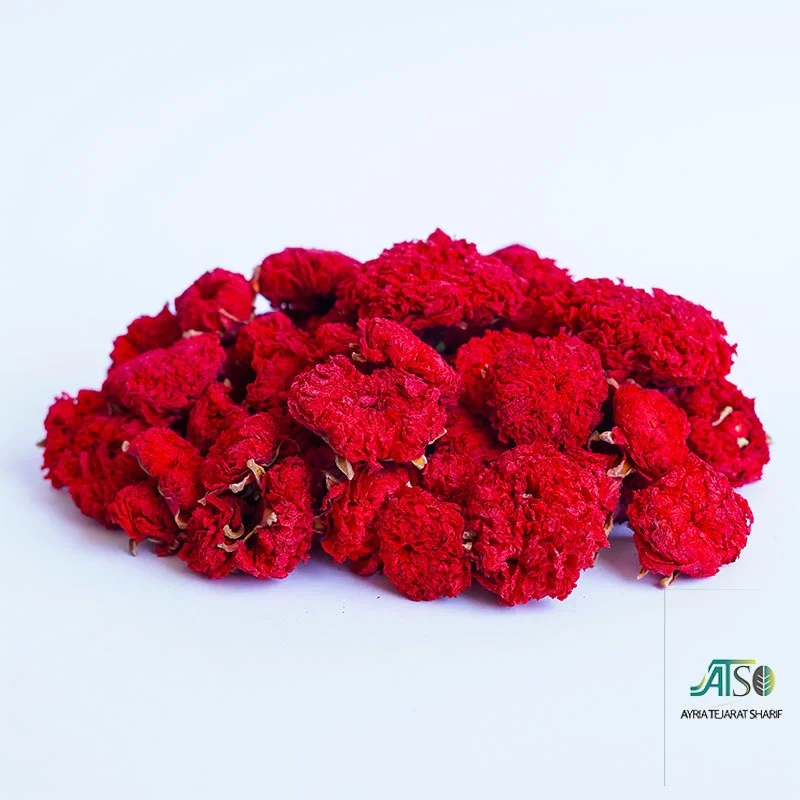 Persian Golnar - Image 2